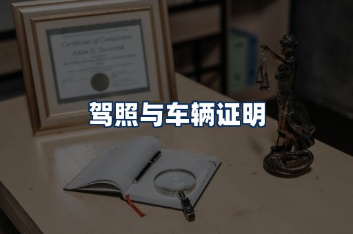 车辆证明展示