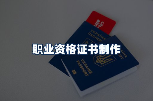 职业资格展示